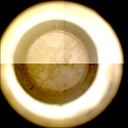 CCF_1215_0774826701_161EBYUN0560000CACH00225_XX_0LLJ