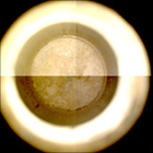 CCF_1215_0774826739_363EBYUN0560000CACH00225_XX_0LLJ