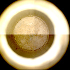 CCF_1215_0774826783_005EBYUN0560000CACH00226_XX_0LLJ