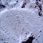 SIF_1217_0774993873_835EBY_N0560000SRLC00645_0000LMJ