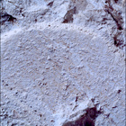 SIF_1217_0774993876_960EBY_N0560000SRLC00645_0000LMJ