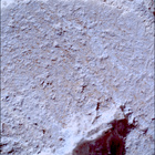 SIF_1217_0774994067_820EBY_N0560000SRLC00451_0000LMJ