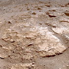 FLF_1228_0775965002_550ECM_N0562932FHAZ02008_XX_095J