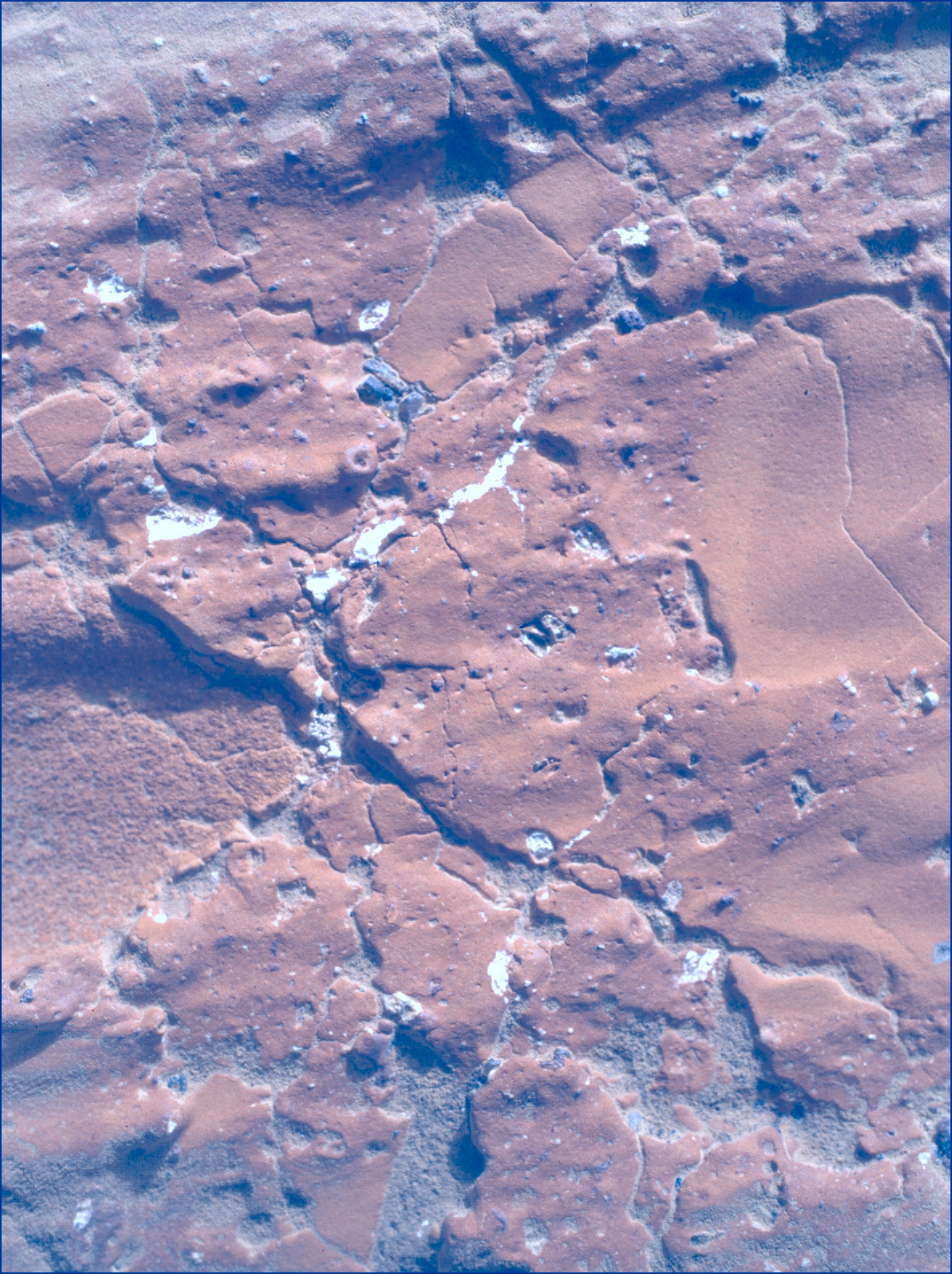 SIF_1233_0776412397_664EBY_N0563438SRLC00354_0000LMJ_calib01_areo info