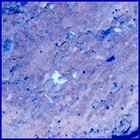 SIF_1242_0777225606_250EBY_N0563438SRLC09811_0000LMJ