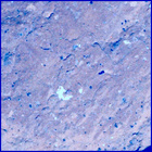 SIF_1242_0777225828_234EBY_N0563438SRLC09807_0000LMJ