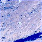 SIF_1242_0777233203_730EBY_N0563438SRLC08046_0000LMJ