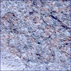 SIF_1261_0778891441_226EBY_N0590204SRLC00627_0000LMJ