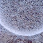 SIF_1261_0778891481_687EBY_N0590204SRLC00627_0000LMJ