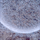 SIF_1261_0778891487_375EBY_N0590204SRLC00627_0000LMJ