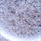 SIF_1261_0778891664_078EBY_N0590204SRLC00439_0000LMJ
