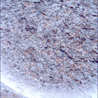 SIF_1261_0778891667_089EBY_N0590204SRLC00439_0000LMJ