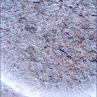 SIF_1261_0778891668_593EBY_N0590204SRLC00439_0000LMJ