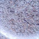 SIF_1261_0778891671_601EBY_N0590204SRLC00439_0000LMJ