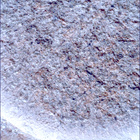 SIF_1261_0778891673_105EBY_N0590204SRLC00439_0000LMJ