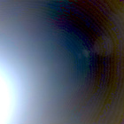 NLF_1263_0779068750_100ECM_N0590204NCAM00501_01_295J