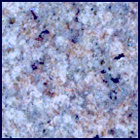 SIF_1263_0779087685_542EBY_N0590204SRLC09814_0000LMJ
