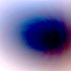 NLF_1264_0779166748_020ECM_N0590330NCAM00503_01_295J