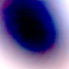 NLF_1264_0779166802_996ECM_N0590330NCAM00503_01_295J