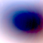 NRF_1264_0779166748_020ECM_N0590330NCAM00503_01_295J