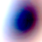 NLF_1281_0780677243_805ECM_N0600390NCAM00501_01_295J