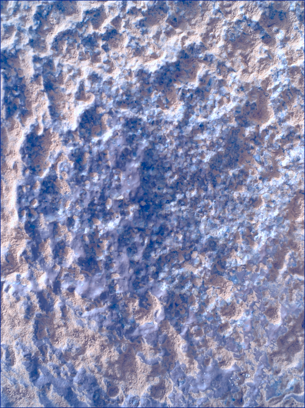SIF_1282_0780763596_824EBY_N0600390SRLC00639_0000LMJ_calib01_areo info