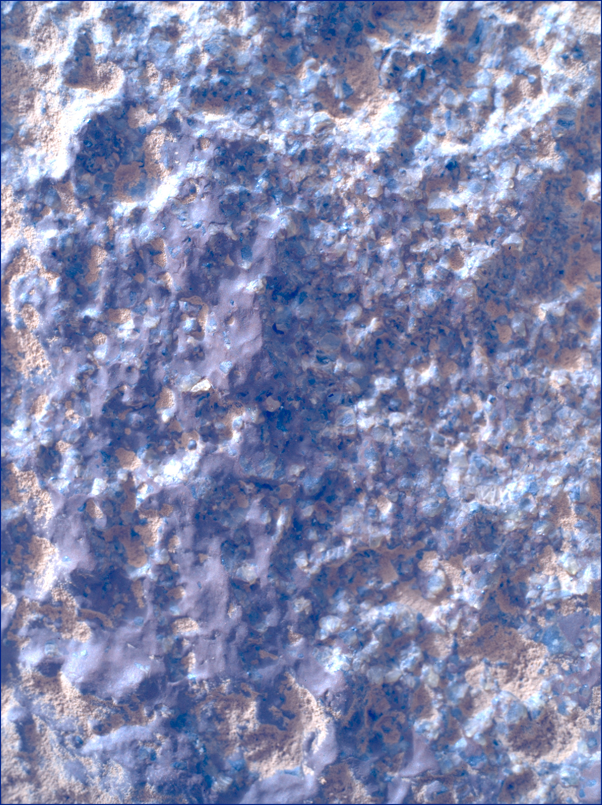 SIF_1282_0780763973_781EBY_N0600390SRLC00369_0000LMJ_calib01_areo info