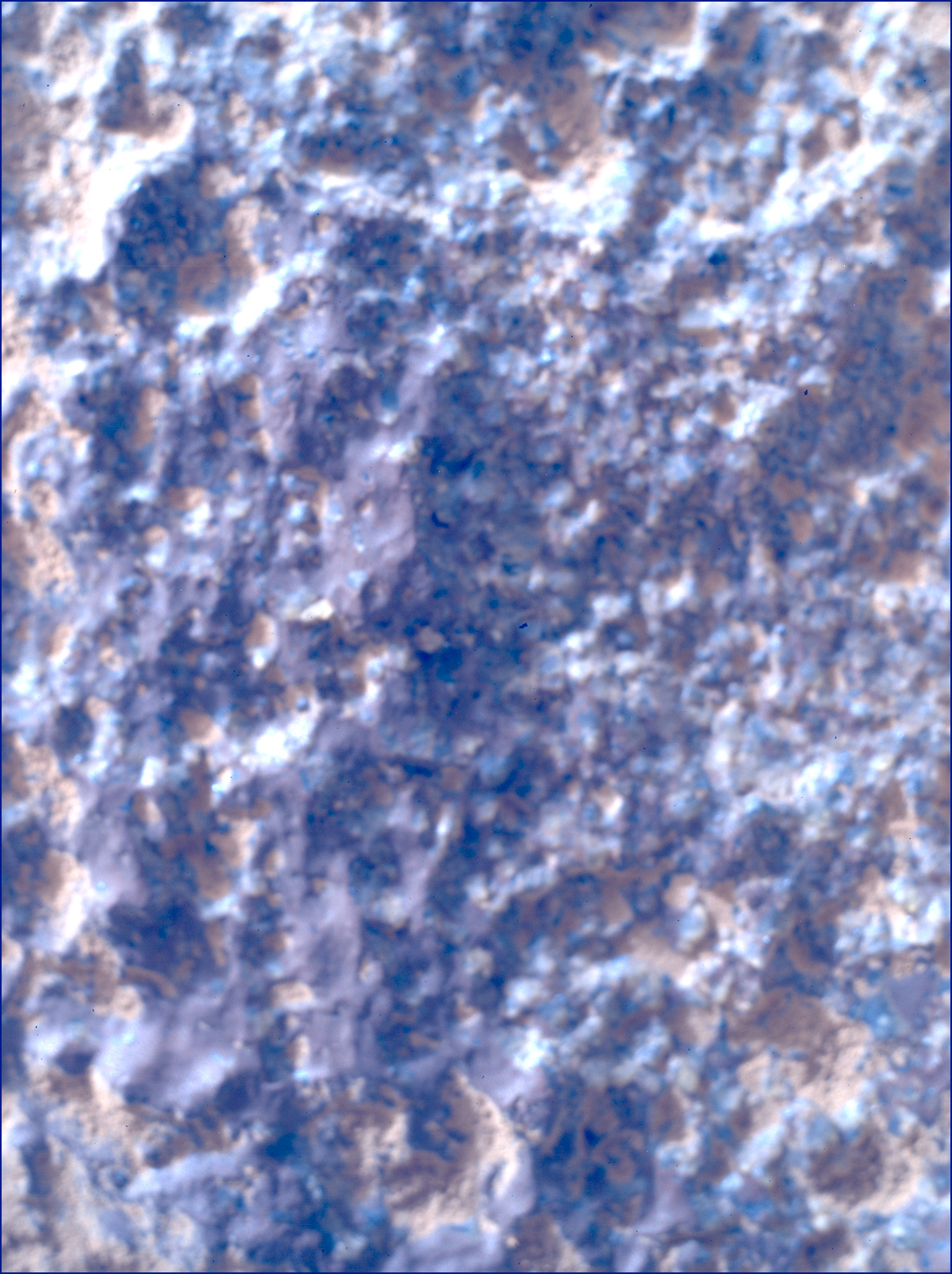 SIF_1282_0780763977_234EBY_N0600390SRLC00369_0000LMJ_calib01_areo info