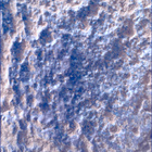 SIF_1282_0780763593_773EBY_N0600390SRLC00639_0000LMJ