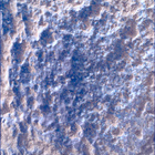 SIF_1282_0780763595_300EBY_N0600390SRLC00639_0000LMJ