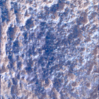 SIF_1282_0780763596_824EBY_N0600390SRLC00639_0000LMJ