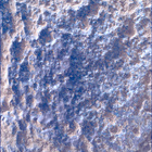 SIF_1282_0780763601_394EBY_N0600390SRLC00639_0000LMJ