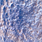 SIF_1282_0780763779_523EBY_N0600390SRLC00639_0000LMJ