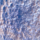 SIF_1282_0780763781_046EBY_N0600390SRLC00639_0000LMJ