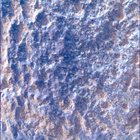 SIF_1282_0780763782_570EBY_N0600390SRLC00639_0000LMJ