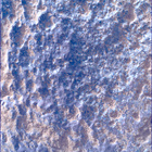 SIF_1282_0780763784_093EBY_N0600390SRLC00639_0000LMJ