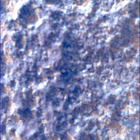 SIF_1282_0780763965_144EBY_N0600390SRLC00369_0000LMJ
