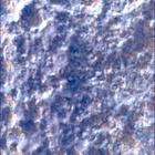 SIF_1282_0780763966_875EBY_N0600390SRLC00369_0000LMJ