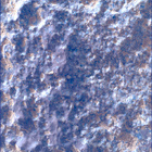 SIF_1282_0780763972_054EBY_N0600390SRLC00369_0000LMJ