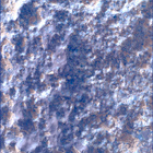 SIF_1282_0780763973_781EBY_N0600390SRLC00369_0000LMJ
