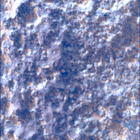SIF_1282_0780763975_507EBY_N0600390SRLC00369_0000LMJ