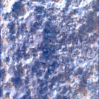 SIF_1282_0780763977_234EBY_N0600390SRLC00369_0000LMJ