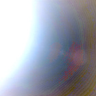 NLF_1298_0782179495_803ECM_N0604560NCAM00501_01_295J