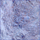 SIF_1303_0782618494_531EBY_N0610376SRLC02503_0000LMJ