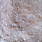 SIF_1303_0782618838_695EBY_N0610376SRLC00639_0000LMJ