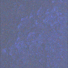 SIF_1309_0783177245_414EBY_N0611678SRLC08054_0000LMJ