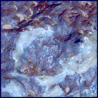 SIF_1310_0783262335_339EBY_N0611678SRLC09811_0000LMJ