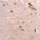 FLF_1315_0783687192_508ECM_N0612080FHAZ00203_16_195J