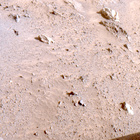 FLF_1315_0783689137_349ECM_N0612080FHAZ00203_16_195J