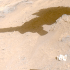 FRF_1315_0783687192_508ECM_N0612080FHAZ00203_13_195J